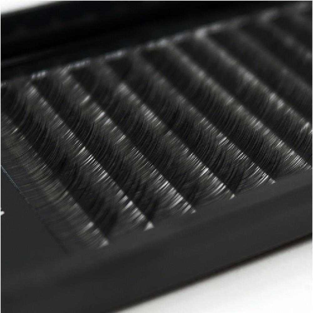 MEEPLUS KOREA Black Berry Flat Lash C Curl