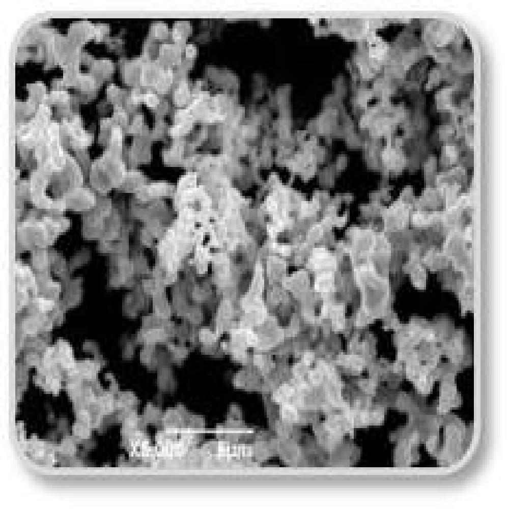 Metal Powder (W, Co, Ni)