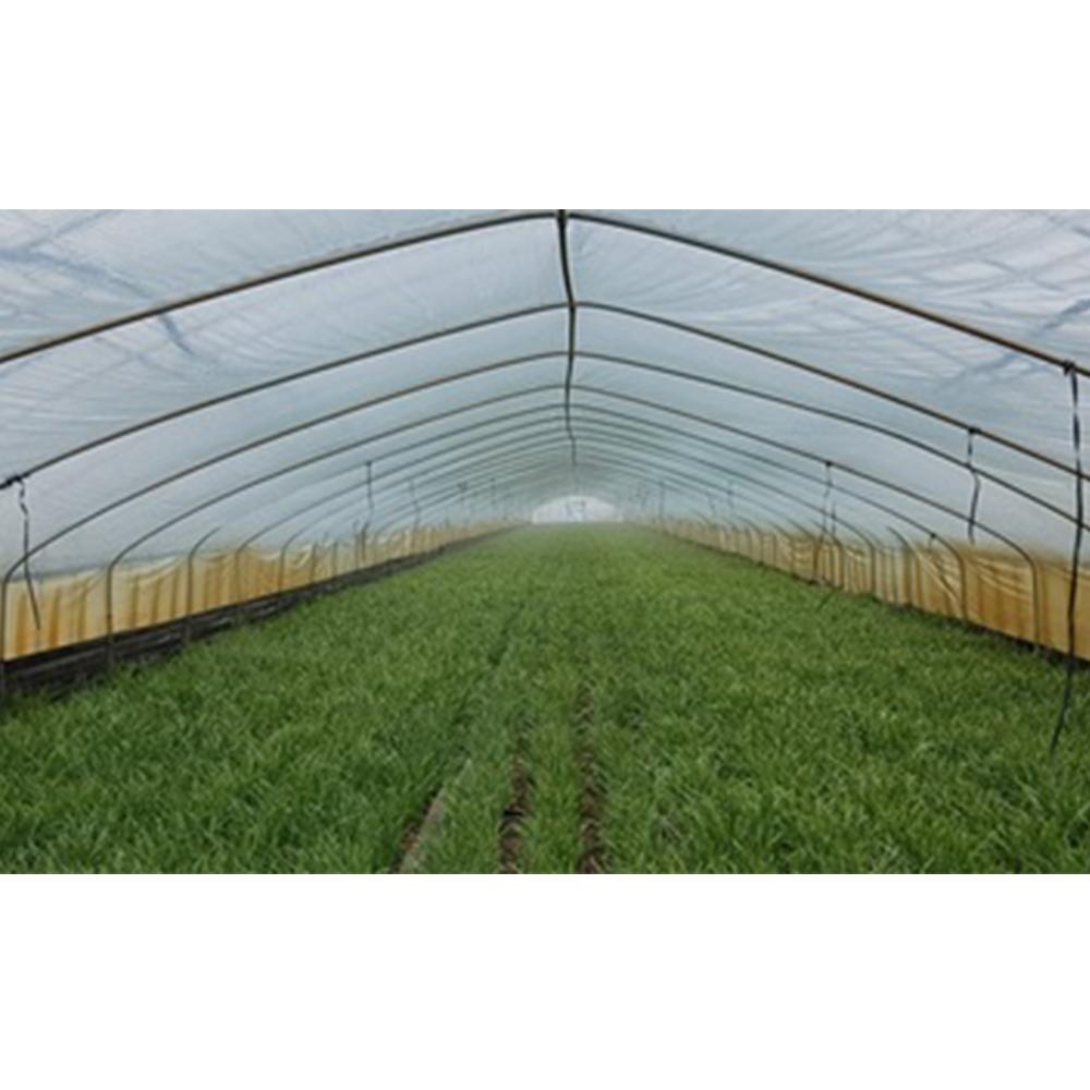 Prevent water bubbles from clustering on the film and anti fogging effect PRETEX-AF805 for EVA films