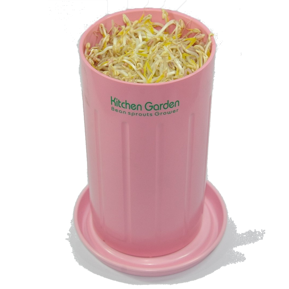 [Jack N Sprouts] Kitchen Garden Bean Sprouts Grower