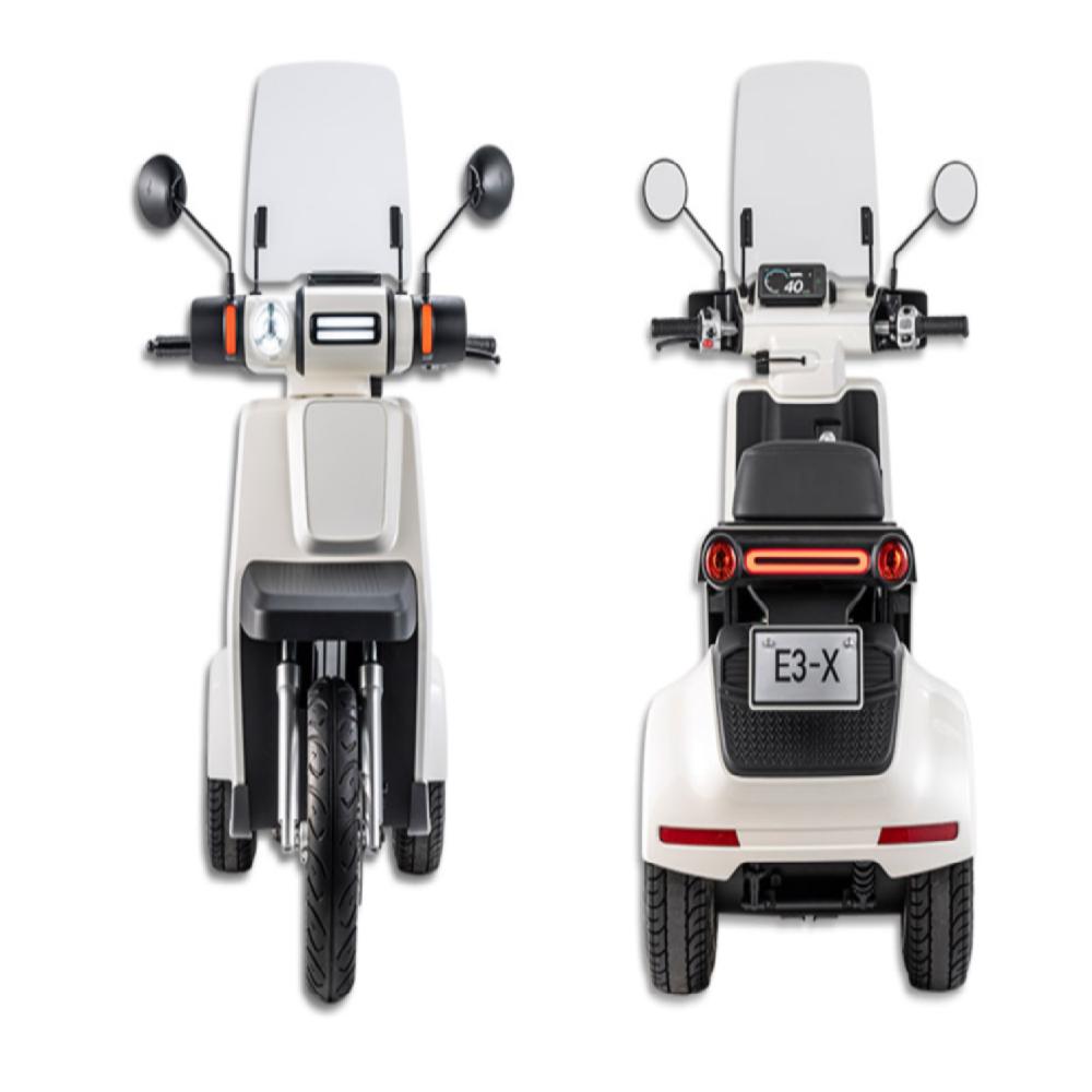 Electric Scooter EM3X