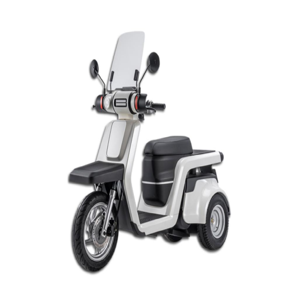 Electric Scooter EM3X