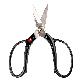 full image Horticultural Scissors