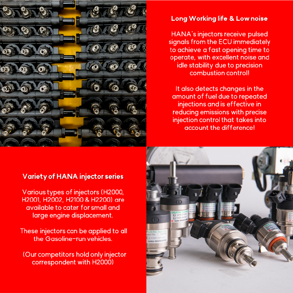 LPG CNG injector for passenger car (H2002)