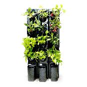 STACKO-POT (Vertical farm)