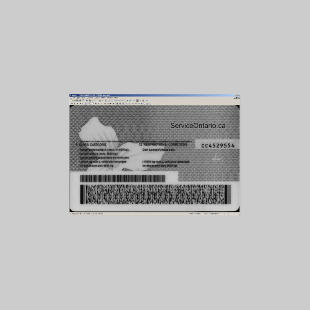 Decode Barcodes from Images and Cameras. Support to OCR and DPM (Direct Part Marking) or Dot Peen.