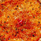 detail image5 Kimchi Pancake 160g