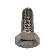 detail image3 25Qty 1/2*2" UNC13   HEX TAP BOLT SCREW