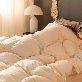 detail image2 zero o'clock goose down Comforter (signature model)