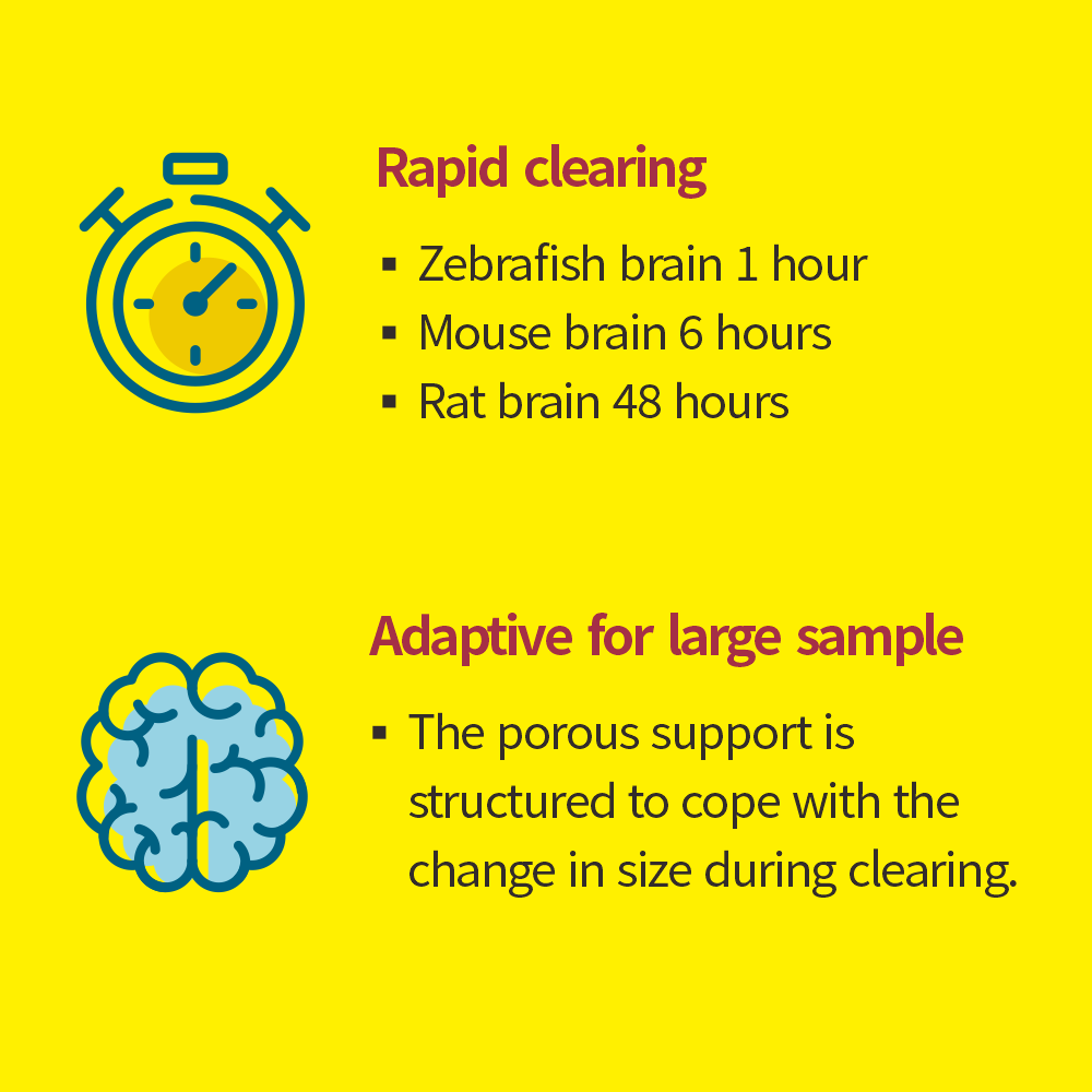 Binaree Tissue Clearing Rapid System