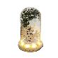 full image LED horse imprinted cross flower mood lamp interlayer accessories
