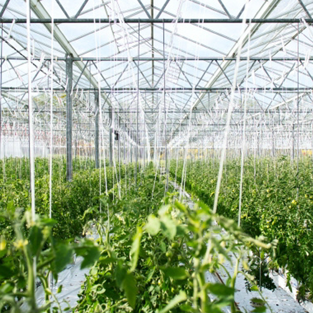 Drip irrigation Tubing Hole Punch Tool