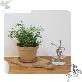 detail image1 Freefactory Flower Plant Pot with Drainage Holes and Saucer Tray(Extra Large/Ivory)