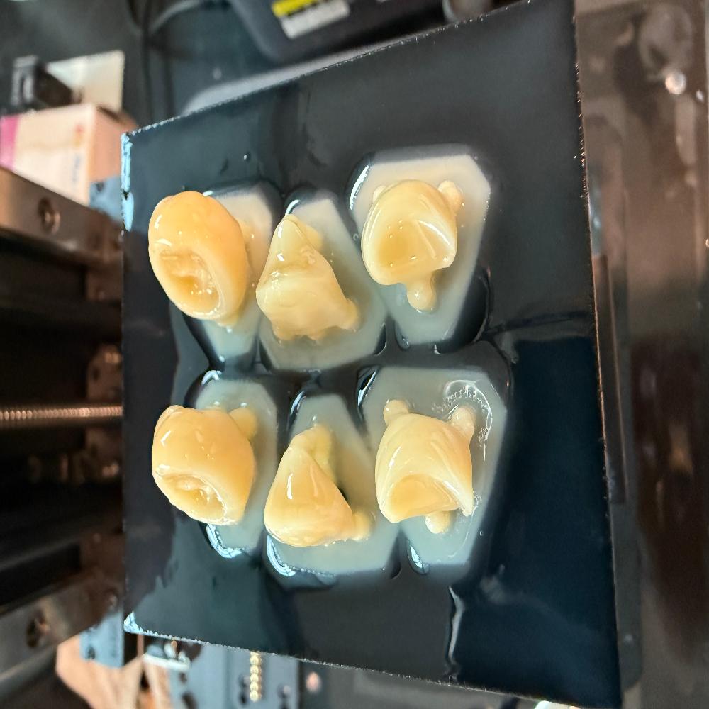 Dental Prosthetic Materials EZ-CERA Hybrid